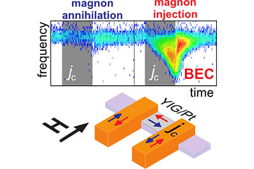 Spintronics to control the Bose-Einstein Condensation of Magnons
